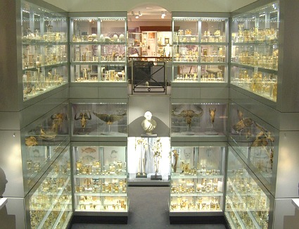 The Royal College of Surgeons Museum, London